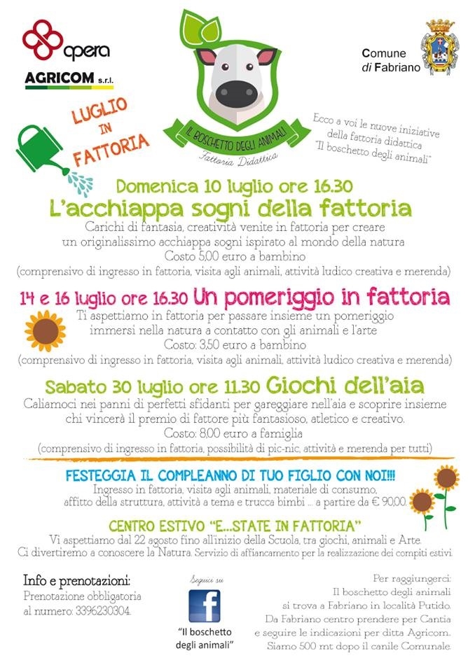 10.07.2016 boschetto attivita luglio