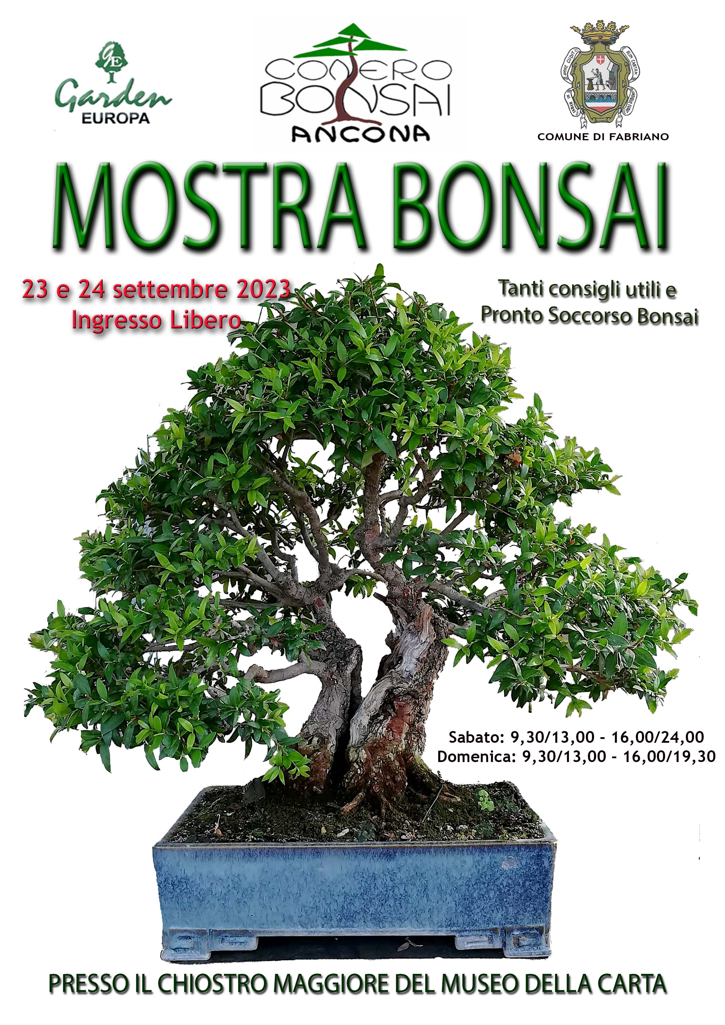 23.09.2023Mostra Bonsai