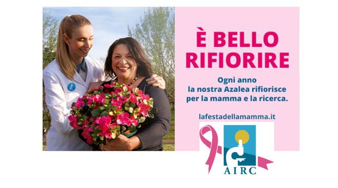 airc azalea 2023