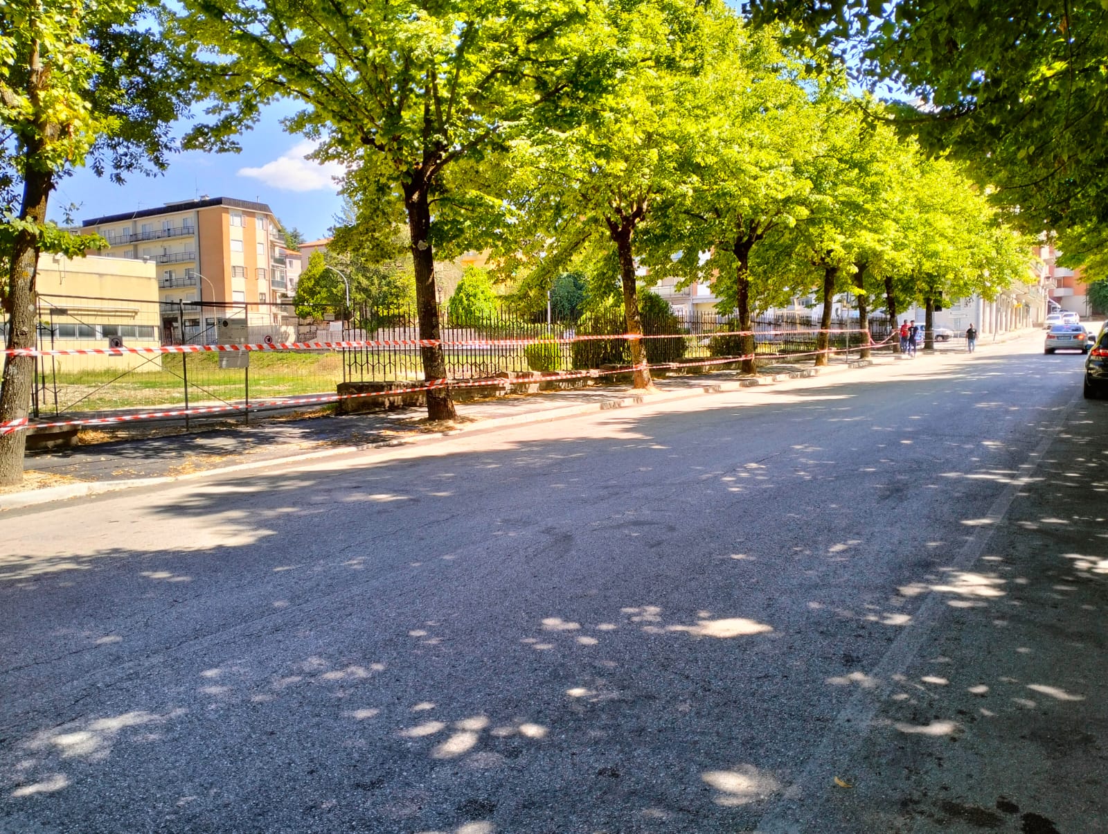 VERIFICHE SULLA STABILITA’  DEGLI ALBERI, CHIUSURA AI PEDONI DEL TRATTO DI VIA DON RIGANELLI